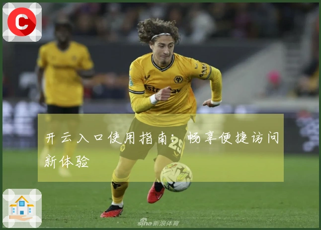 开云入口使用指南：畅享便捷访问新体验